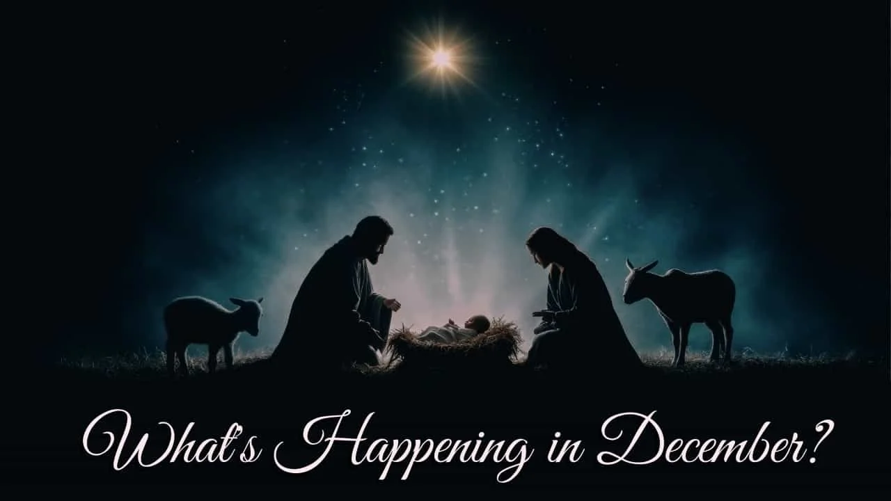 What's Happening in December?