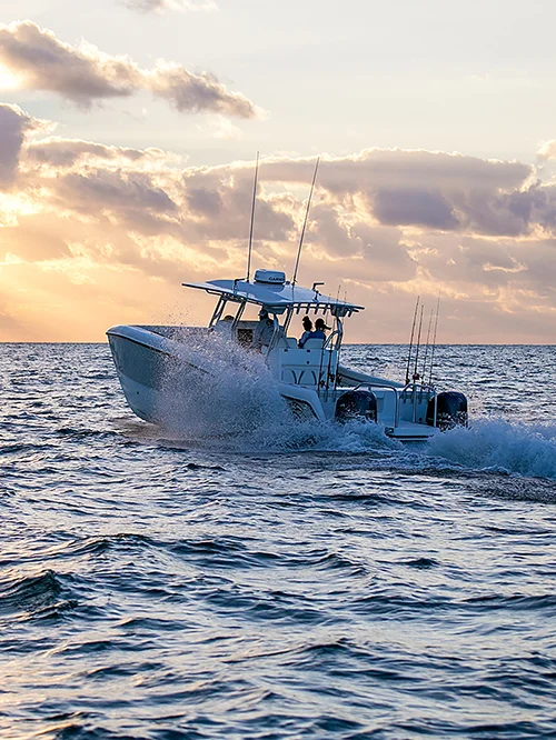 Extensive New Prowler 31 Photo Gallery Online