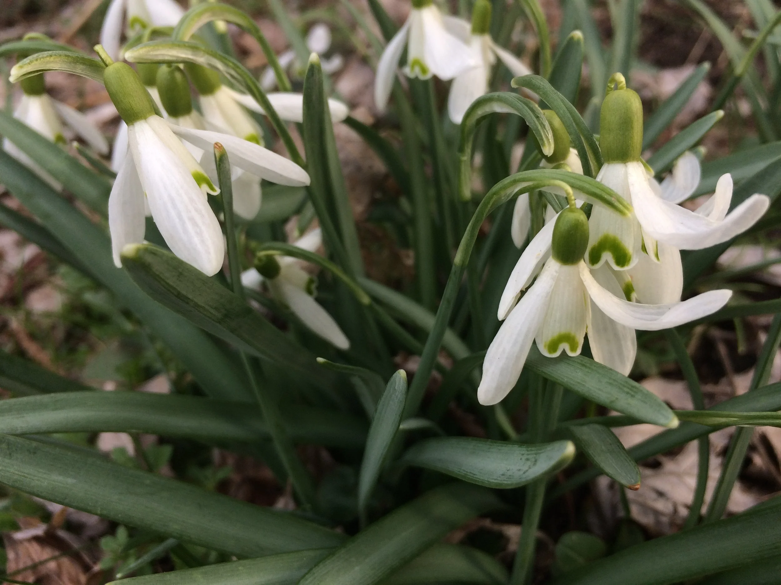 April