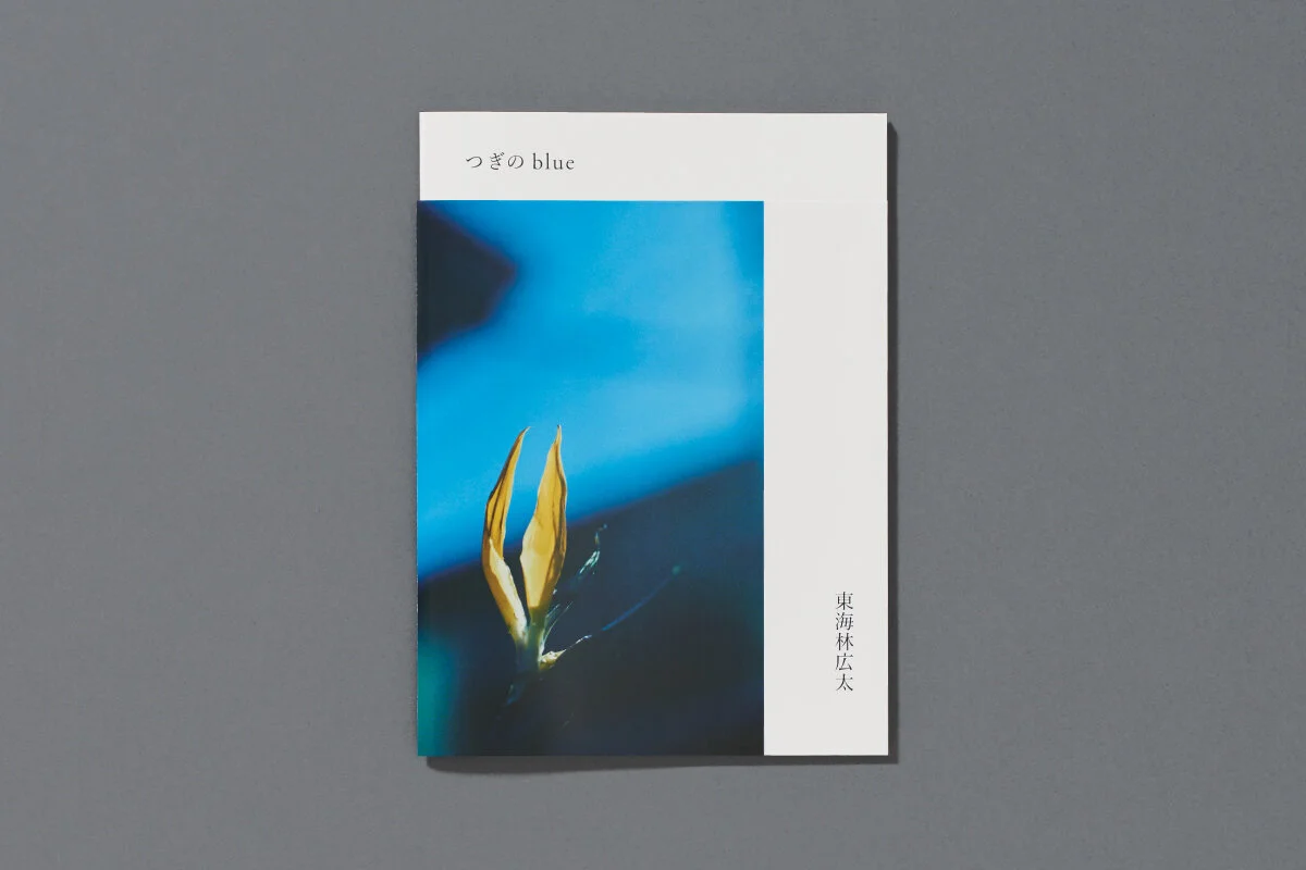 blue_book-2.jpg