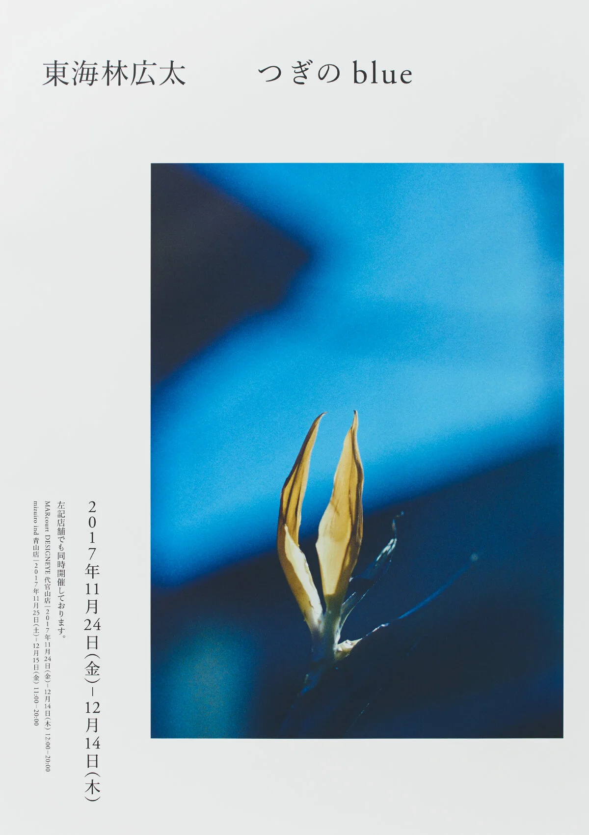 blue_graphic-3.jpg