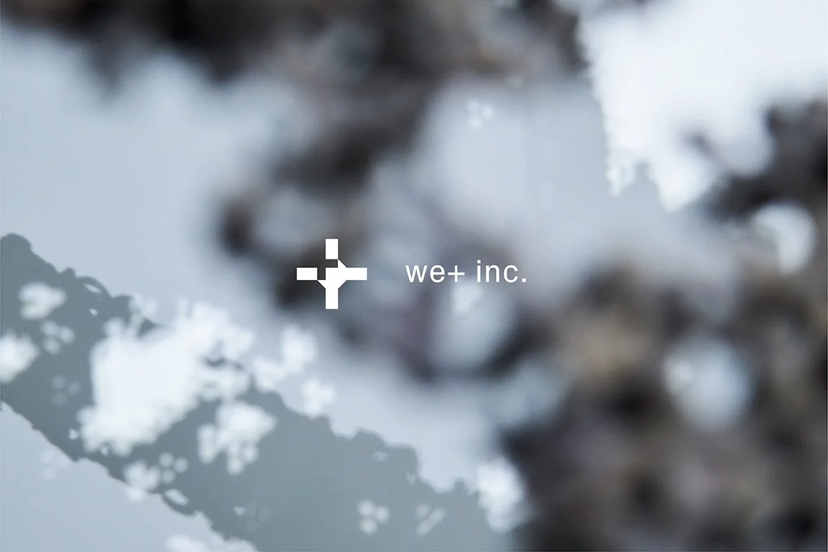 we+-4.jpg