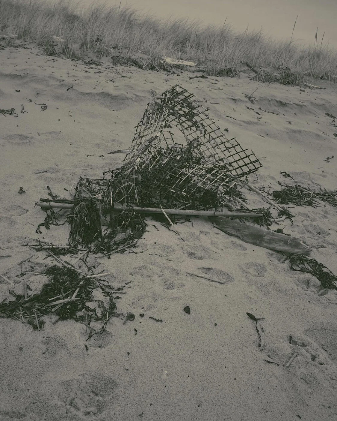  Crescent Beach State Park ME 