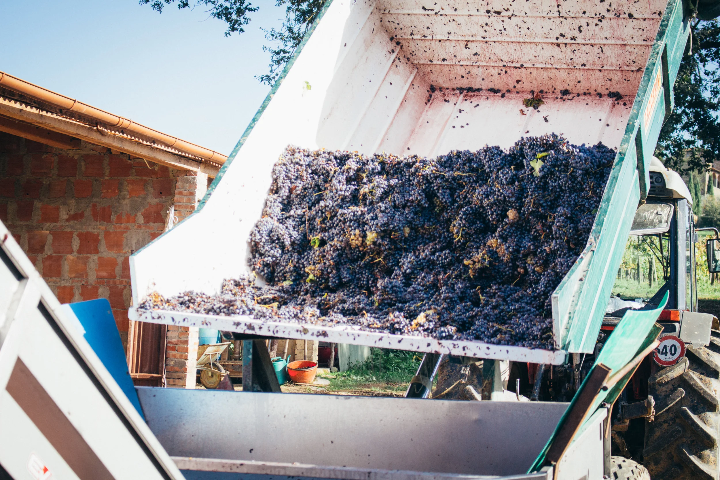 winecellar3.jpg