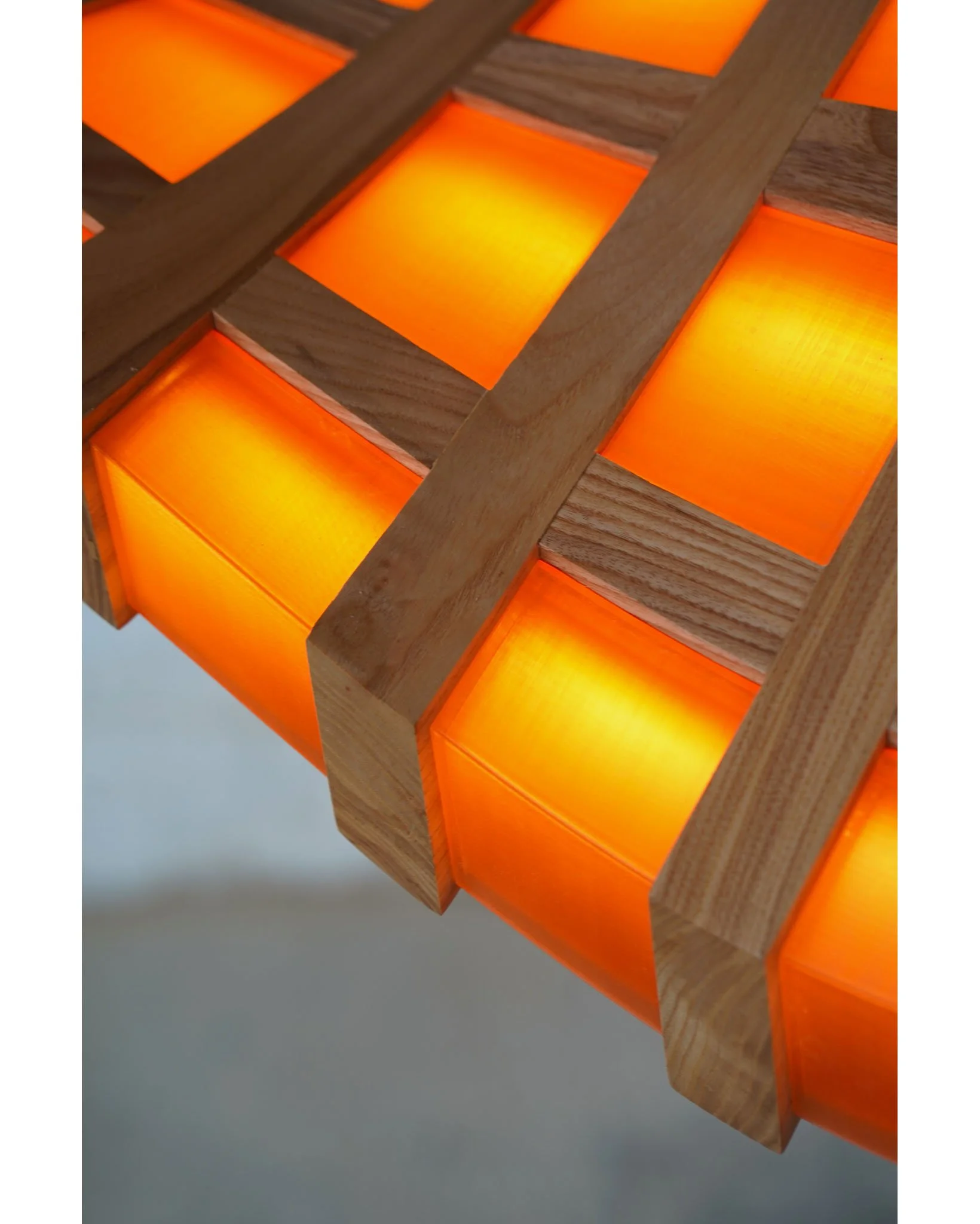 OVUUD - Warp 4 (00348).JPG