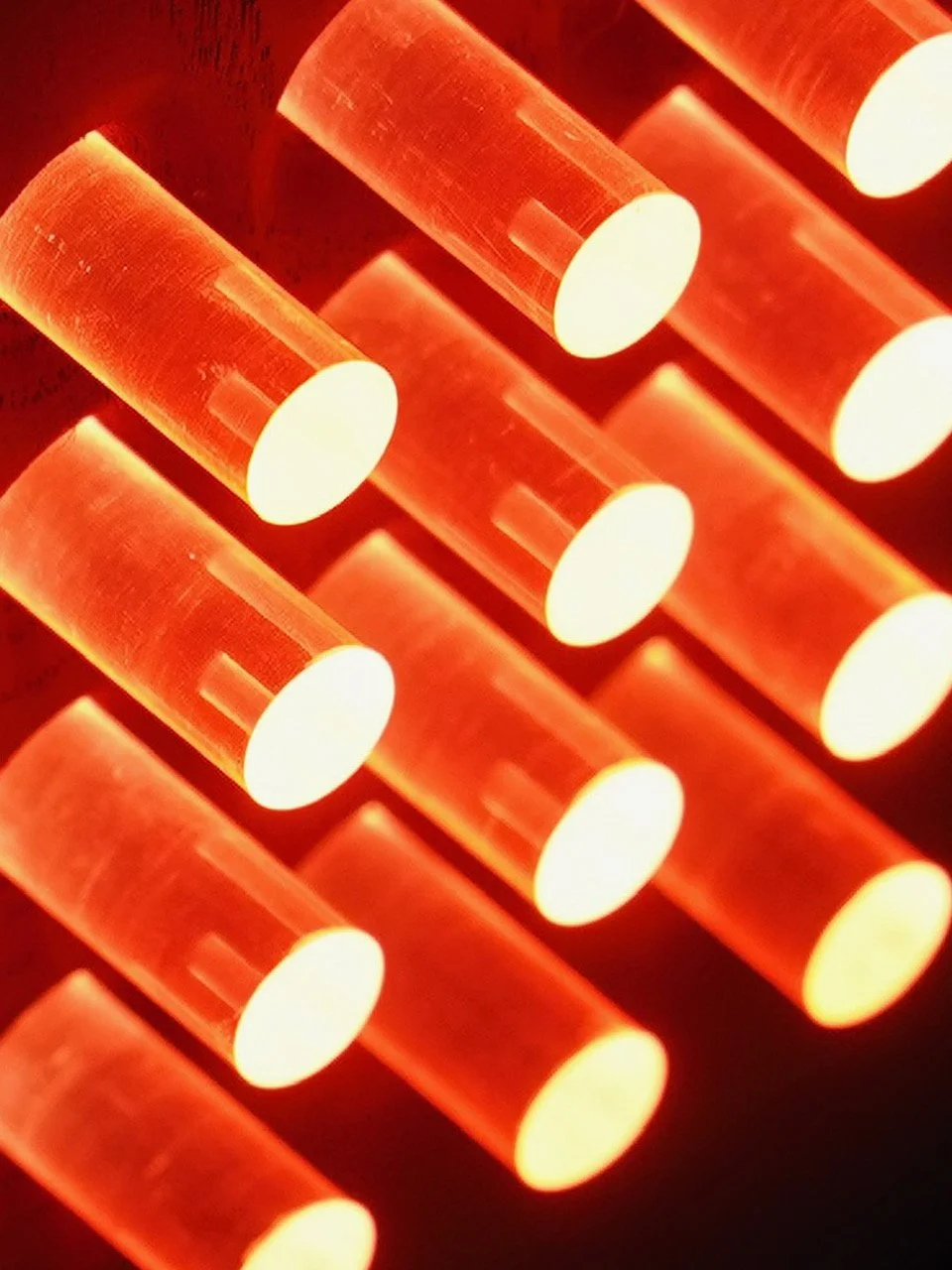 rhubarb closer up.JPG