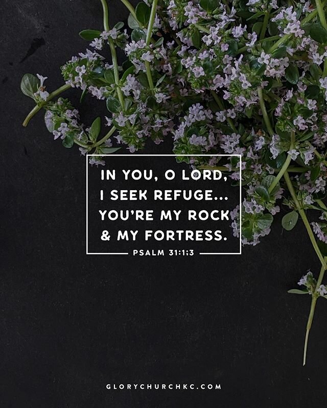 Day 4: &ldquo;Rock of Ages.&rdquo; You can almost feel the power that gushes out of those words when they&rsquo;re said. This is the name of our God.
⠀⠀⠀ ⠀
I can&rsquo;t remember a day in my life when I haven&rsquo;t felt pushed around by someone or 