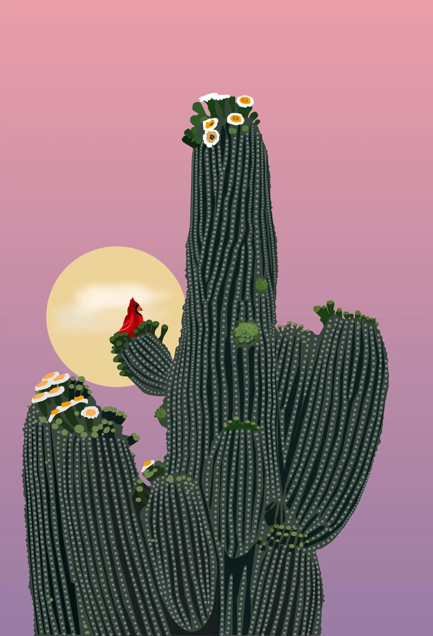 CardinalCacti.jpg