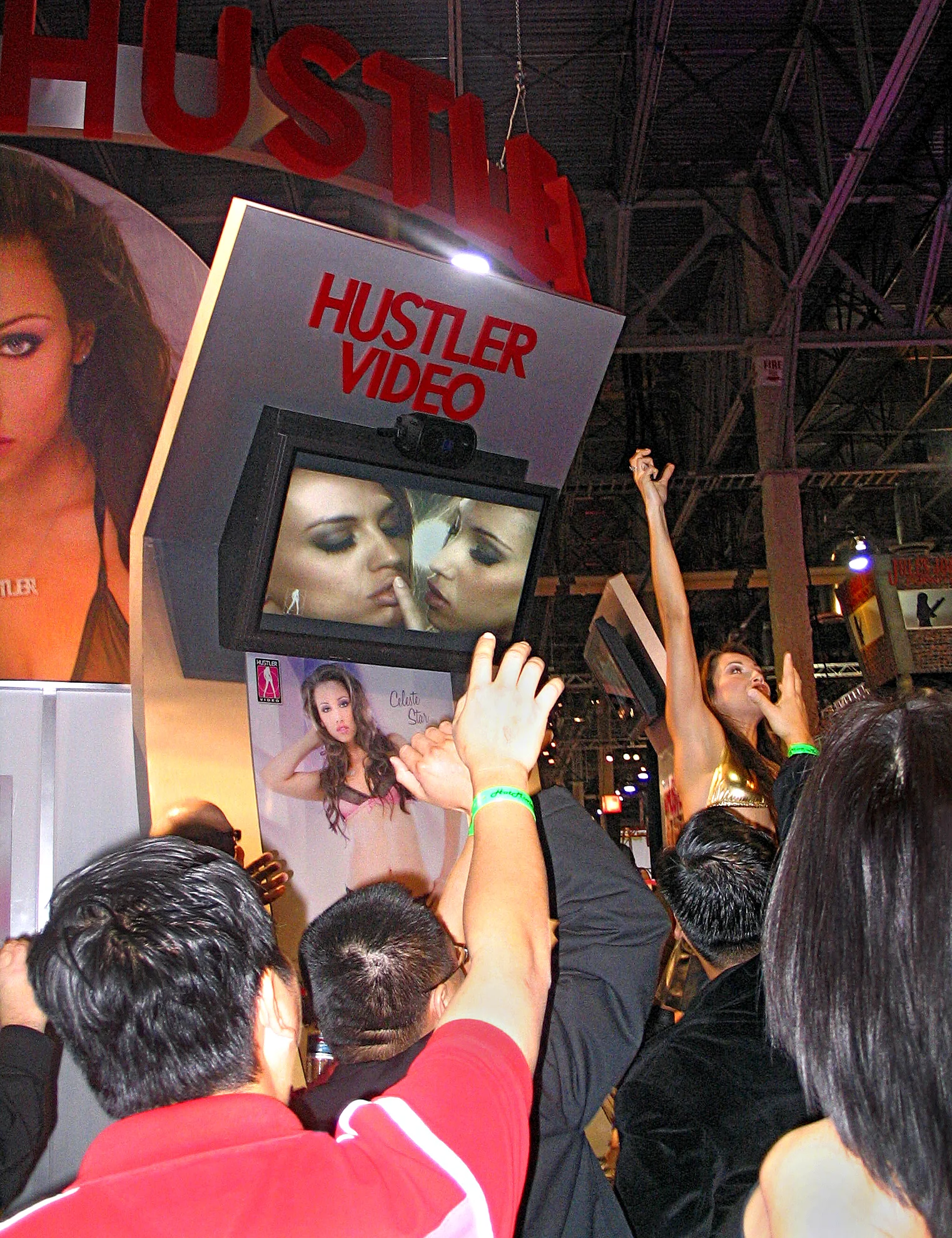 A scene from the 2008 Adult Entertainment Expo, Las Vegas. Photo by Lynn Comella.