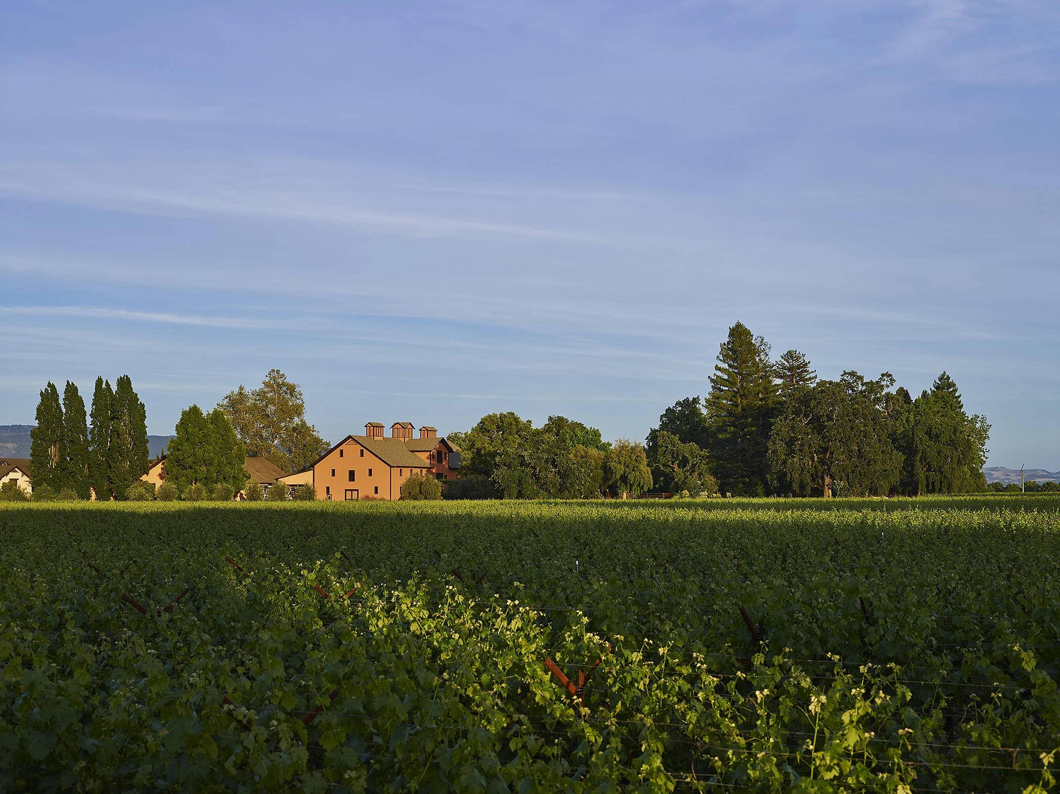 Trefethen Family Vineyards, Napa, California
