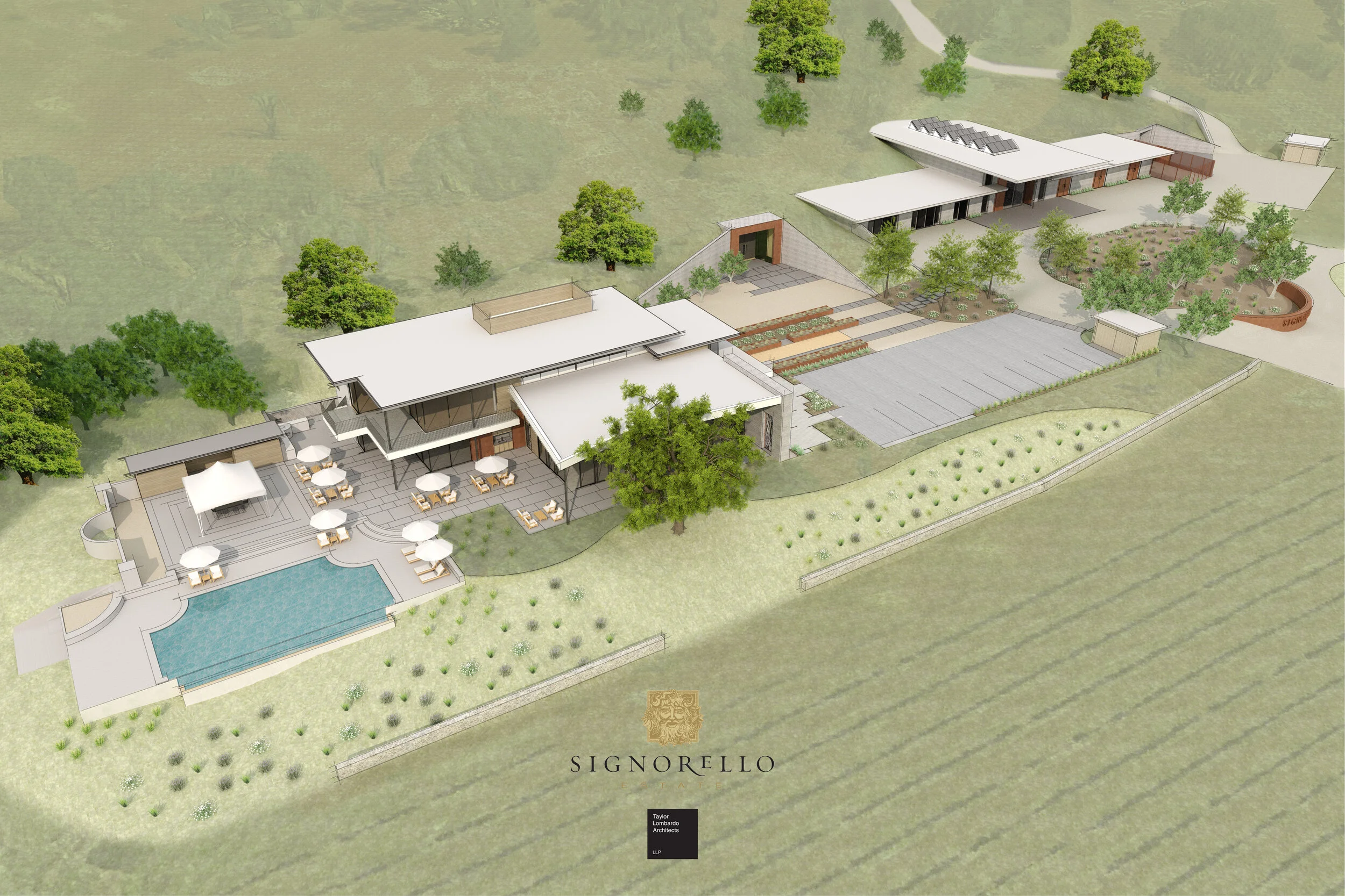 Aerial View_24x36r2.jpg