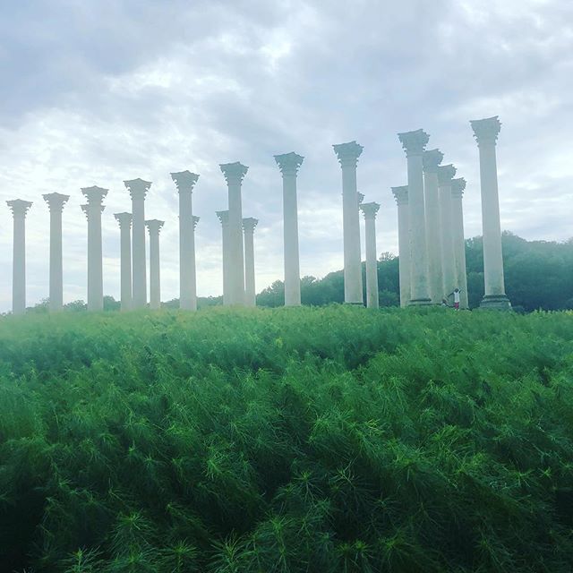 EverGlow Events, LLC ✨. We have an event coming up at the National Arboretum in 2020! This is the location, the beautiful columns. We&rsquo;re evicted, are you?!?! &bull;
&bull;
&bull;
&bull;
&bull;
&bull;
&bull;
&bull;
&bull;
&bull;
&bull;
&bull;
&b