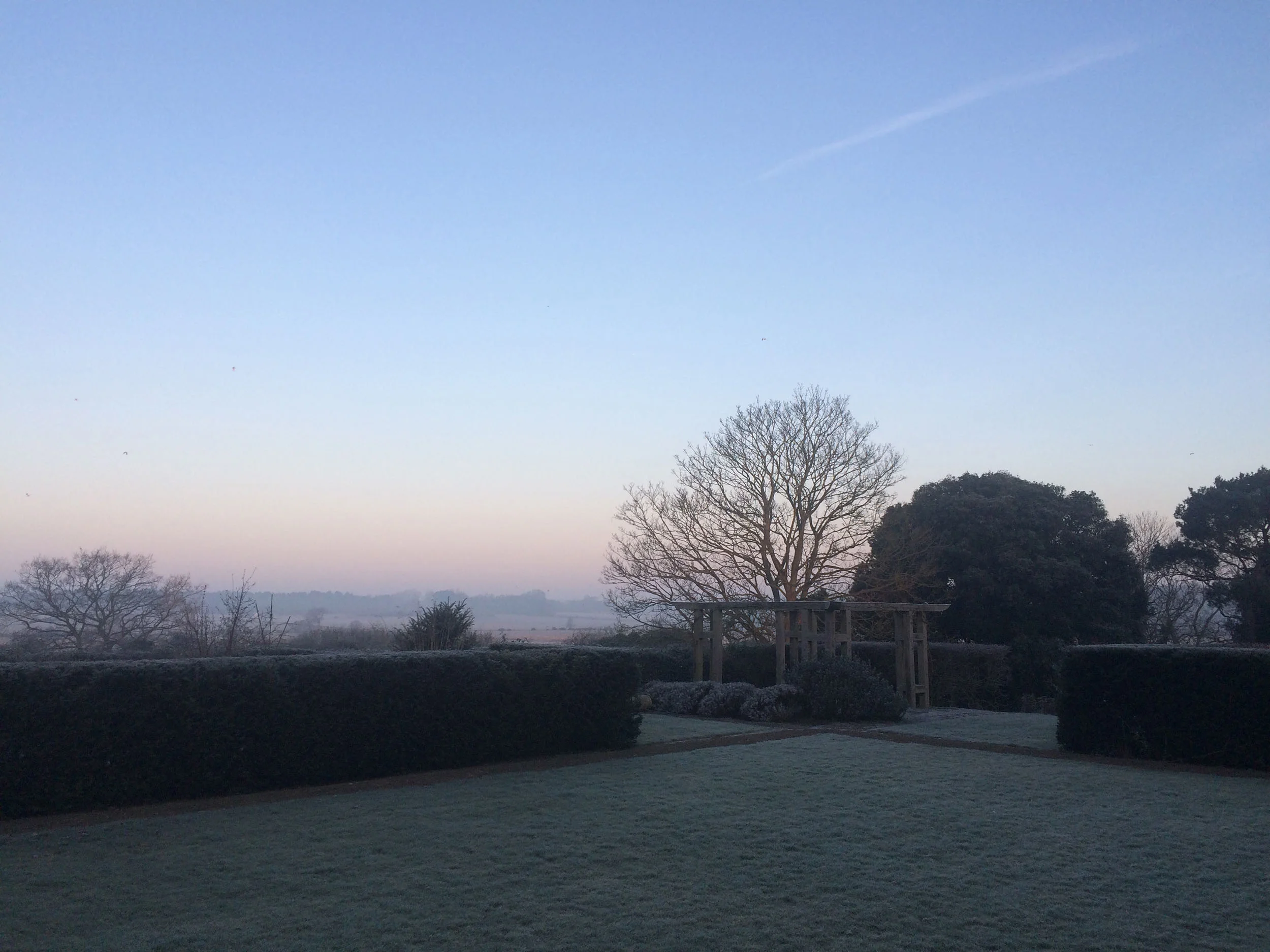 Suffolk Garden  (50) s.JPG