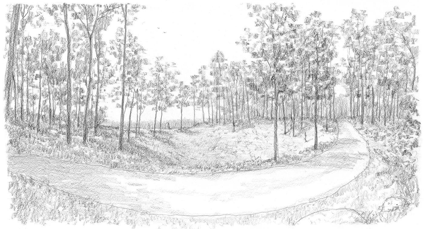 Wisconsin Garden   |   Drawing by Jem Hanbury for TSS Ltd