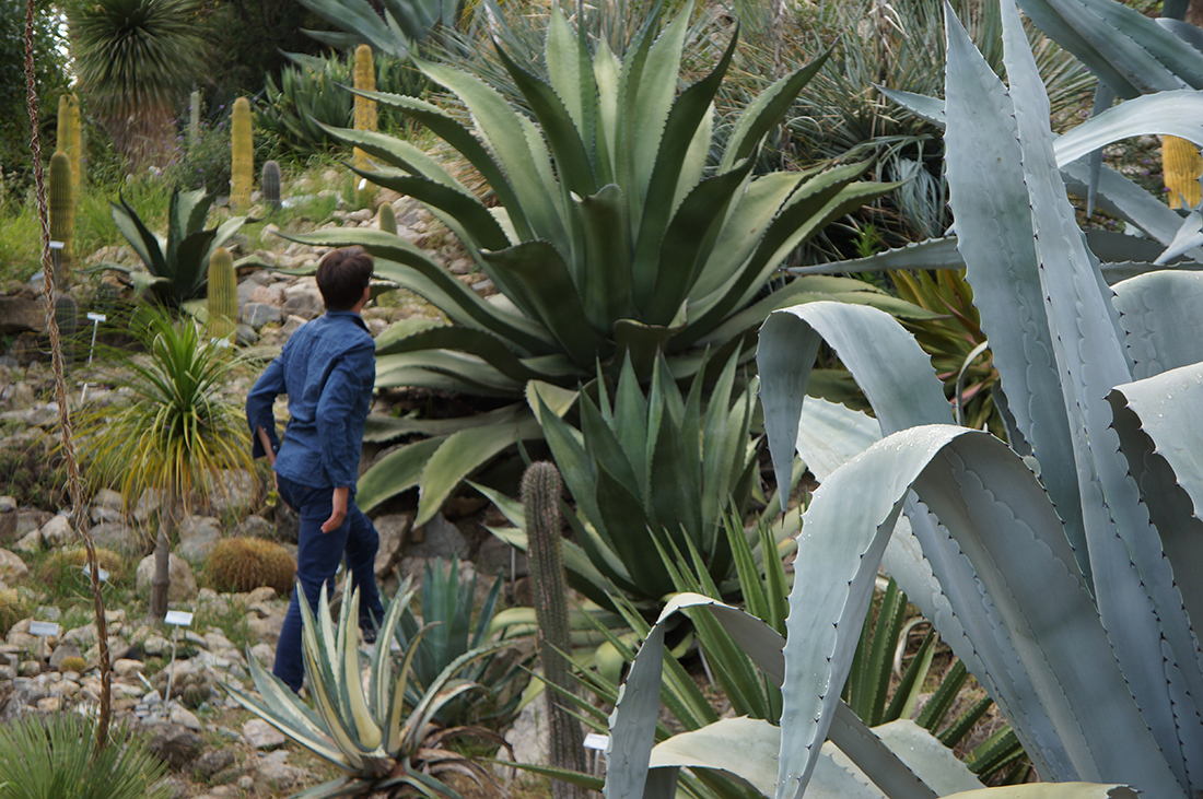 Jem Hanbury - La Mortola  (1).jpg