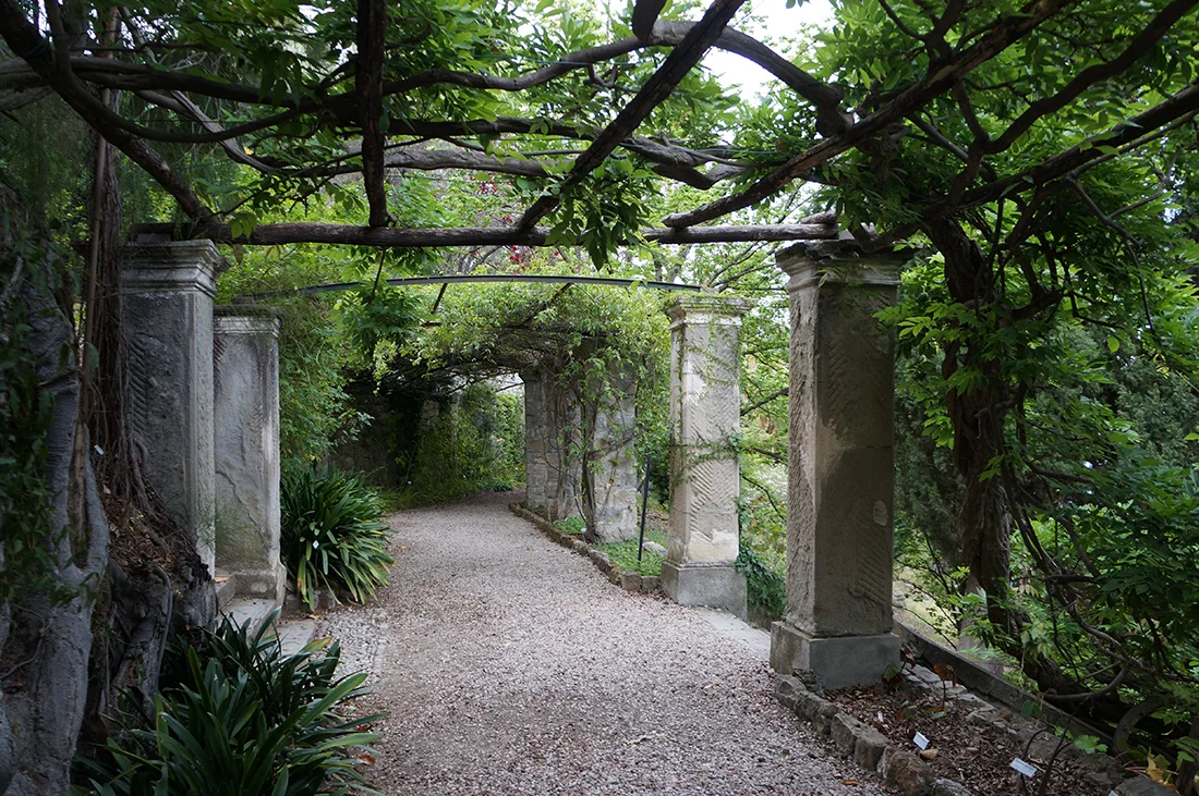 Jem Hanbury - La Mortola  (2).jpg