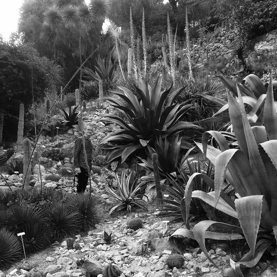 Jem Hanbury - La Mortola  (13).jpg