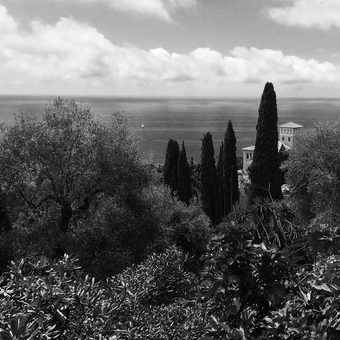 Jem Hanbury - La Mortola  (14).jpg