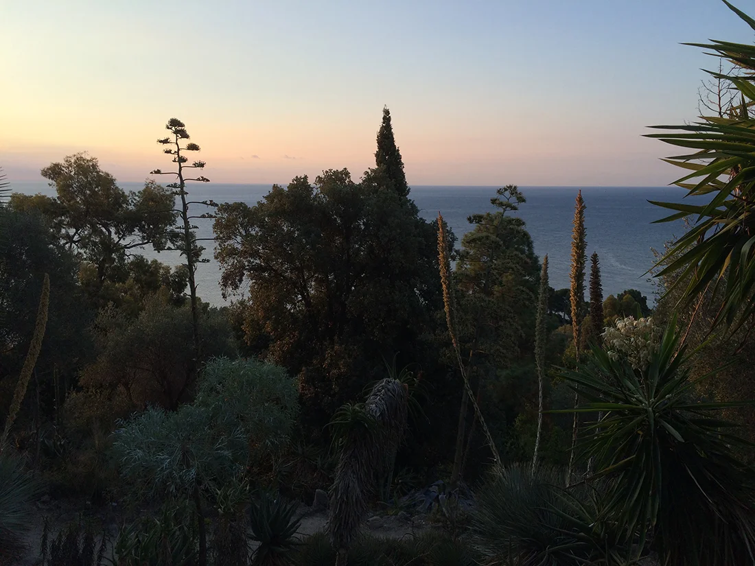 Jem Hanbury - La Mortola  (17).jpg