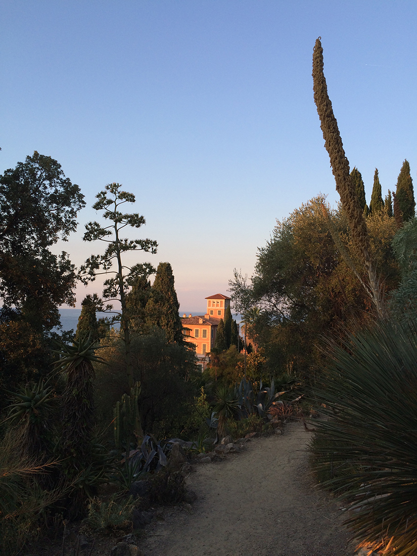 Jem Hanbury - La Mortola  (18).jpg