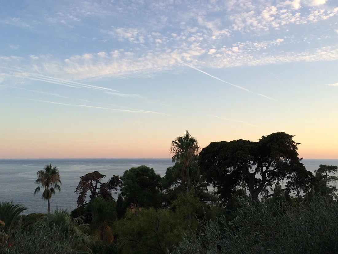 Jem Hanbury - La Mortola  (24).jpg