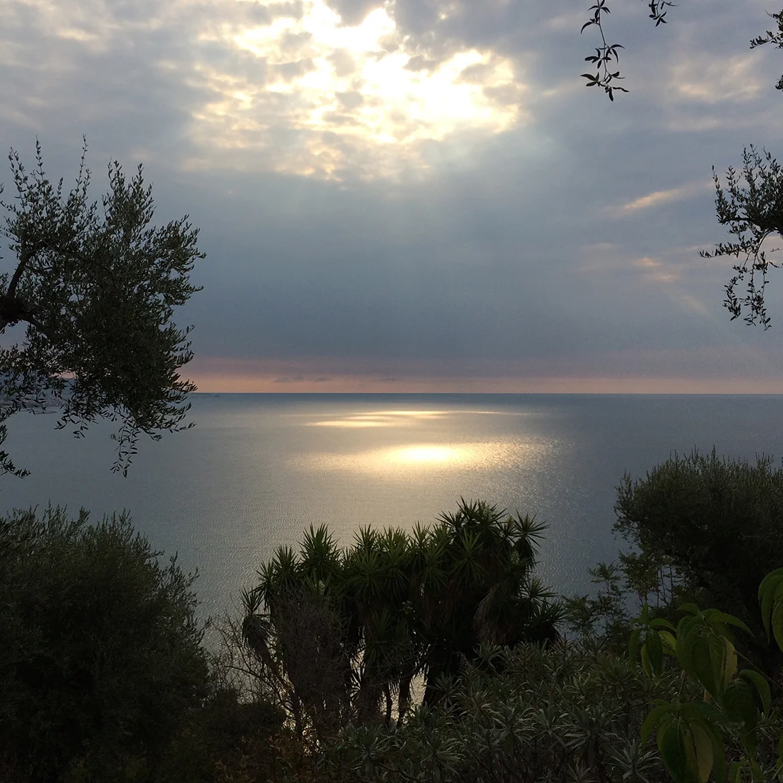 Jem Hanbury - La Mortola  (25).jpg