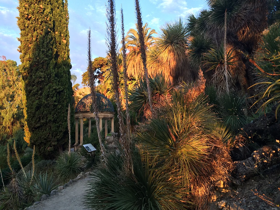 Jem Hanbury - La Mortola  (29).jpg