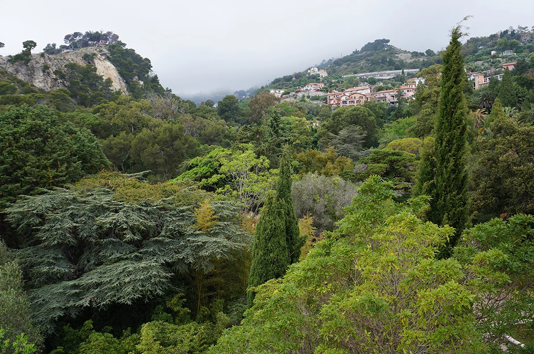 Jem Hanbury - La Mortola  (4).jpg