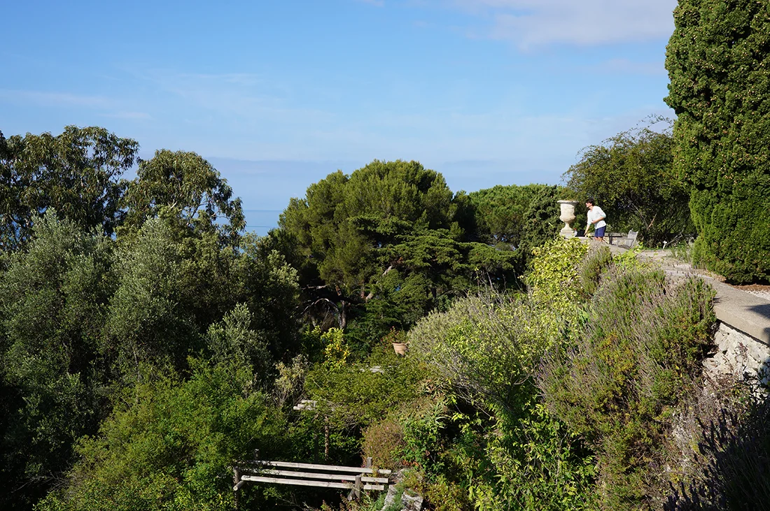 Jem Hanbury - La Mortola  (11).jpg