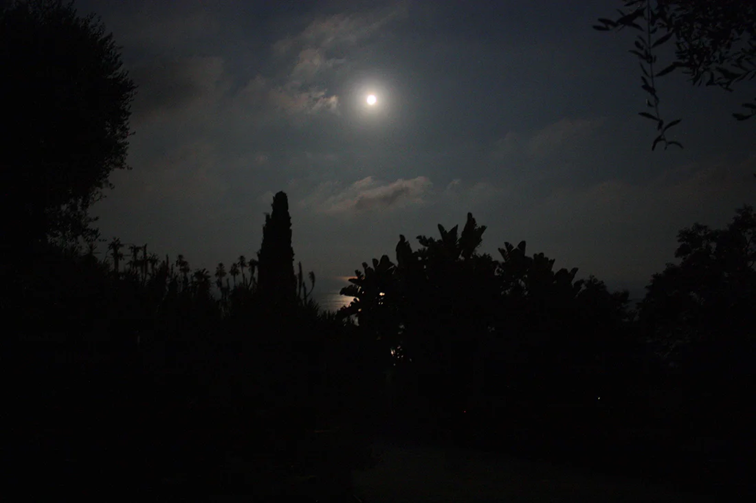 Jem Hanbury - La Mortola  (30).jpg