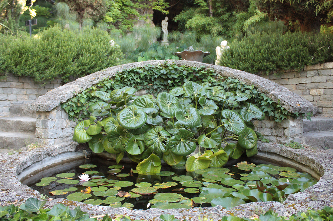 Jem Hanbury - La Mortola  (31).jpg