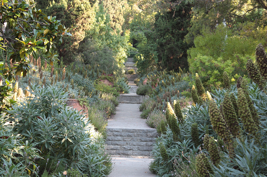 Jem Hanbury - La Mortola  (32).jpg