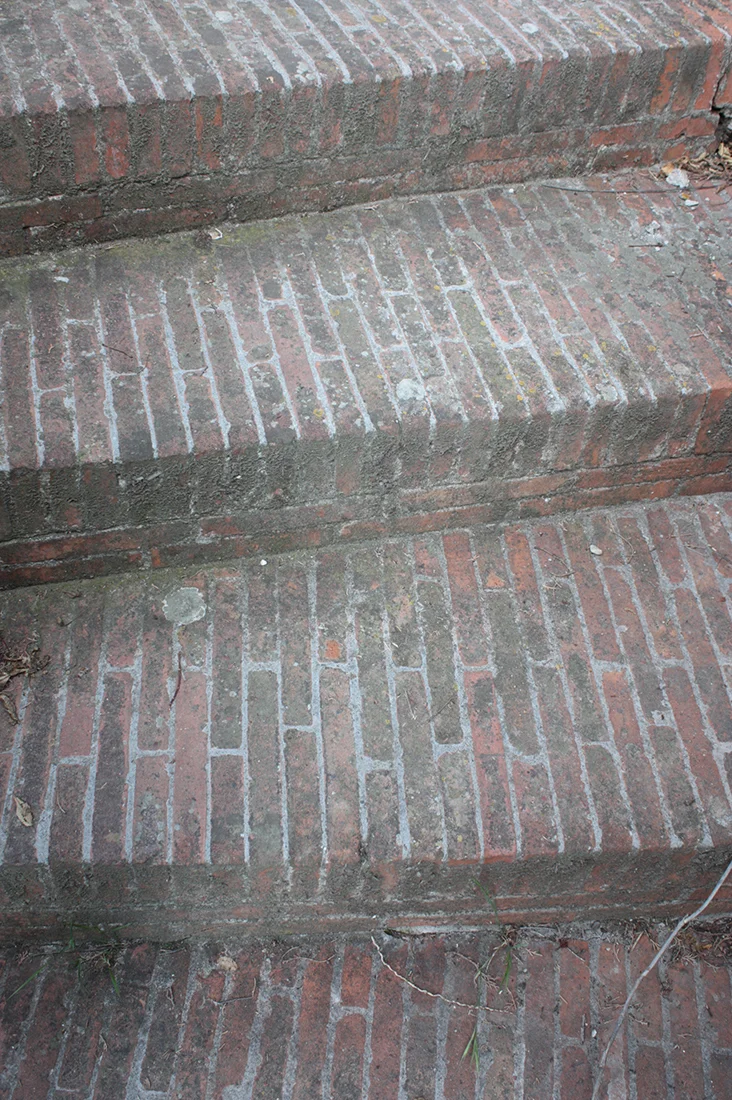 Jem Hanbury - La Mortola  (37).jpg