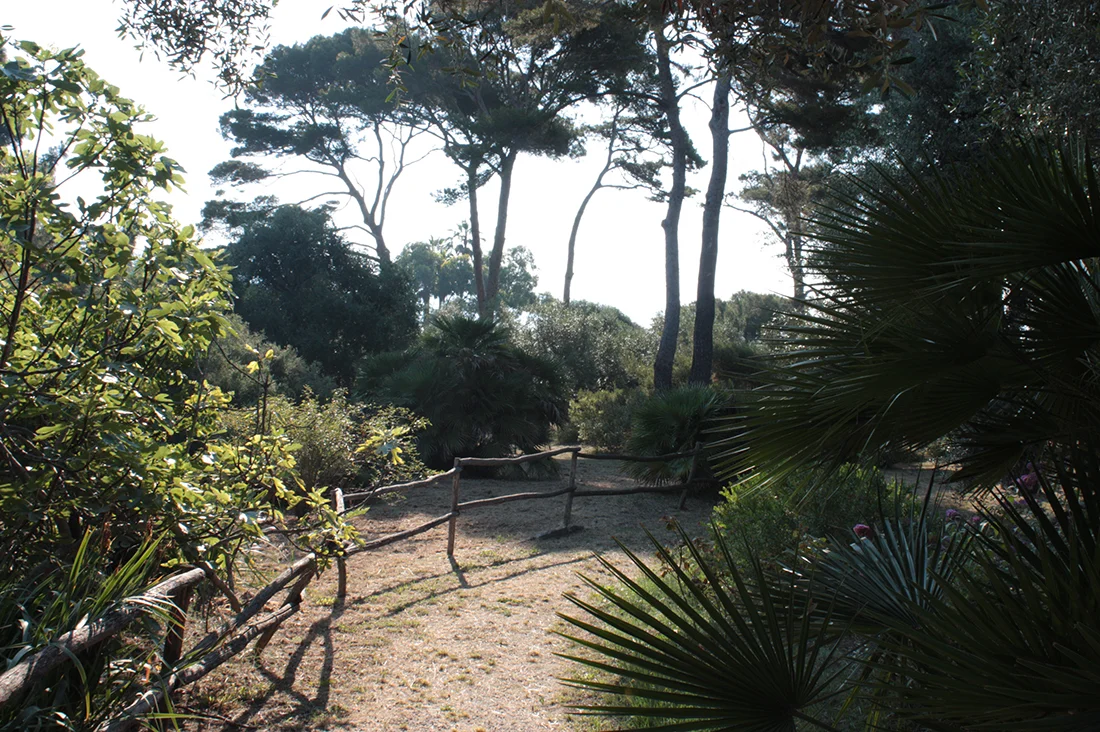 Jem Hanbury - La Mortola  (33).jpg