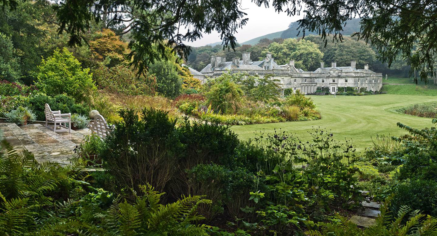 Dorset Estate   |   Photograph by Andrea Jones (Copy)