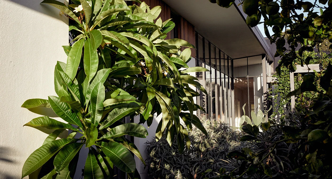 Jem Hanbury Studio - 1b03.jpg