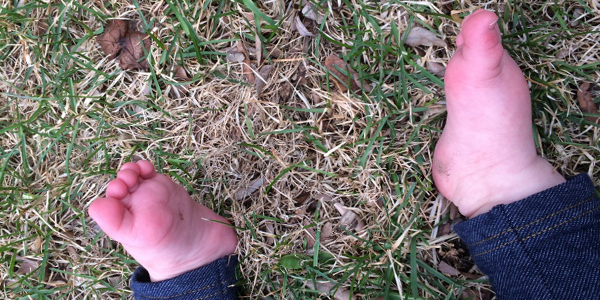 almafeet.png