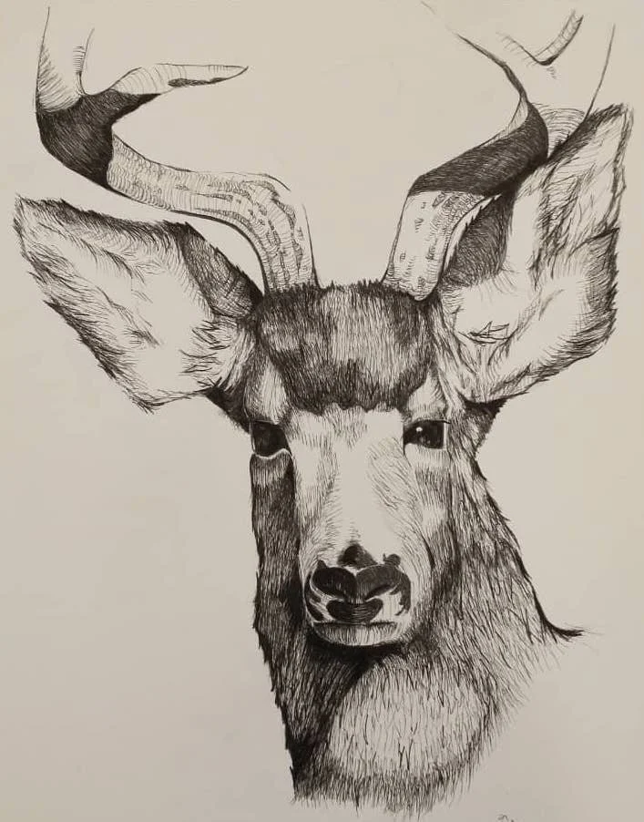 Yule Tide Mule Deer 2022