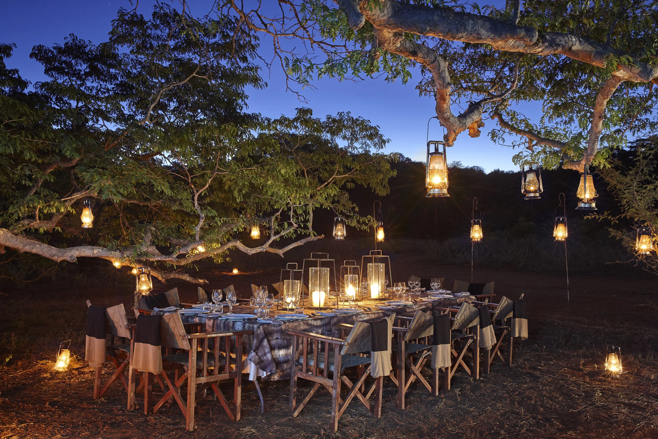 PAMU DINER BY THE TREES_flareless.jpg