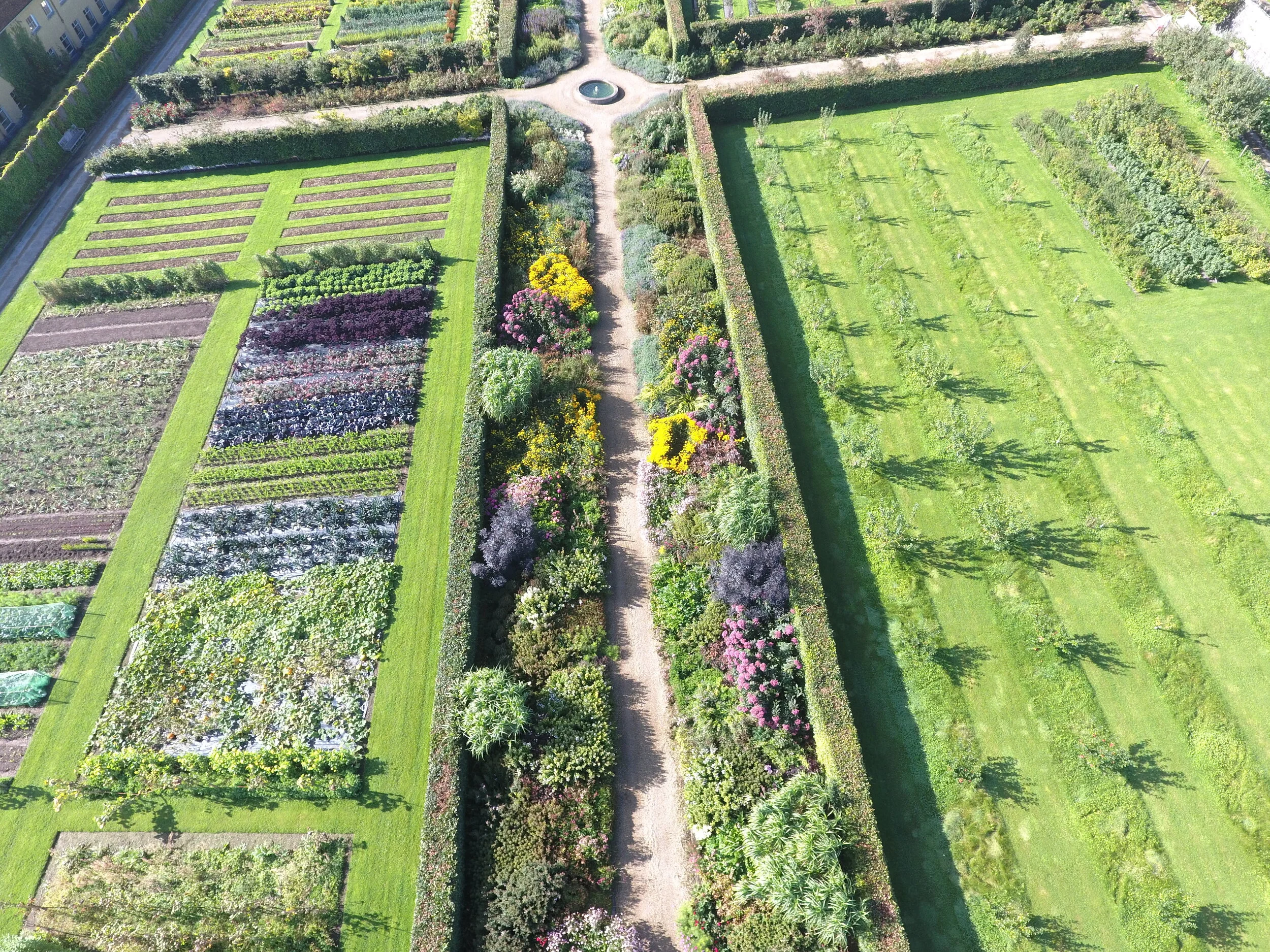 Partner Postcard: Ballyfin Demesne