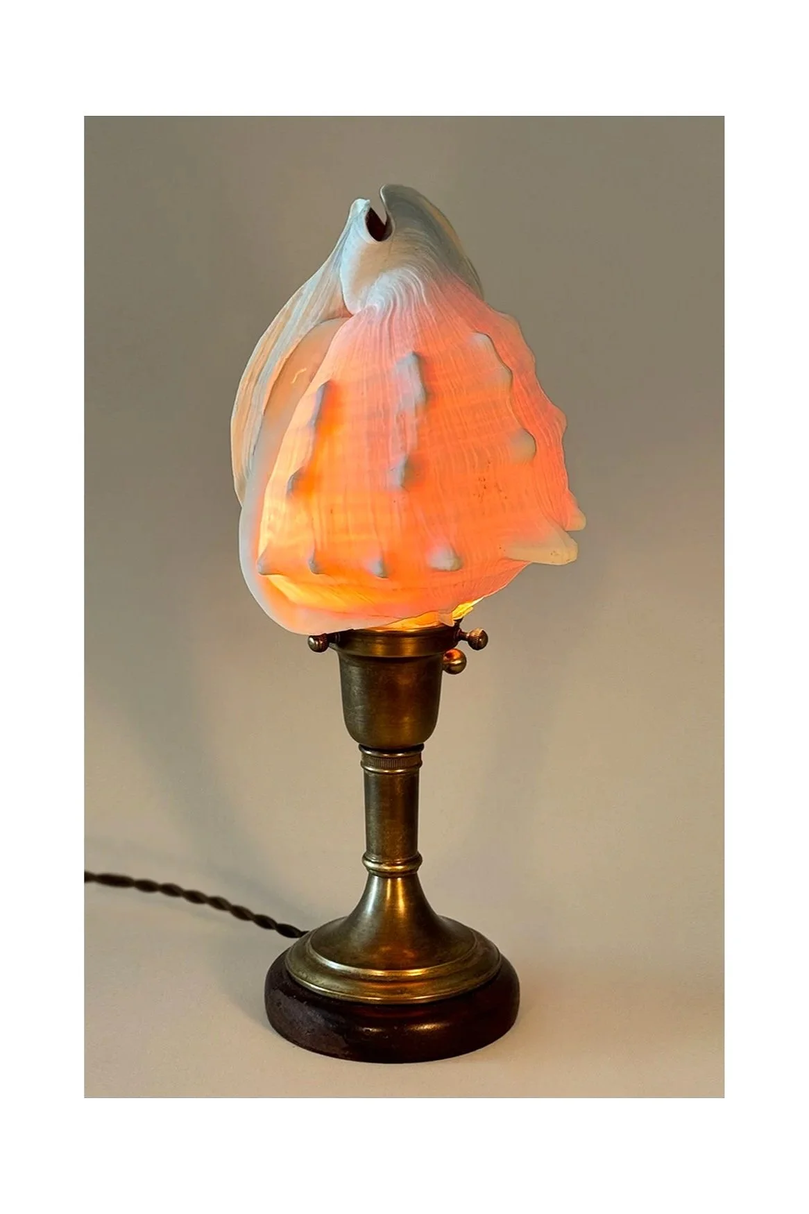 Conch Shell Table Lamp No.012T