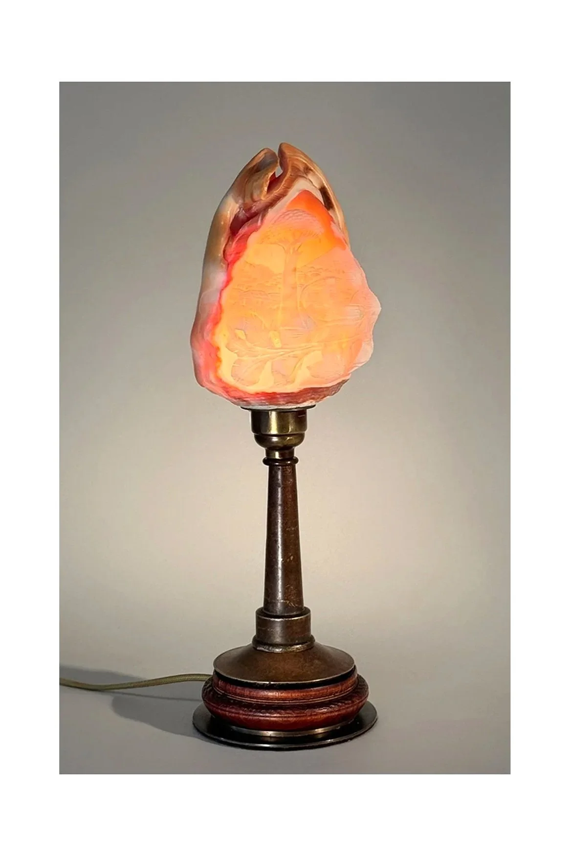 Conch Shell Table Lamp No.43T