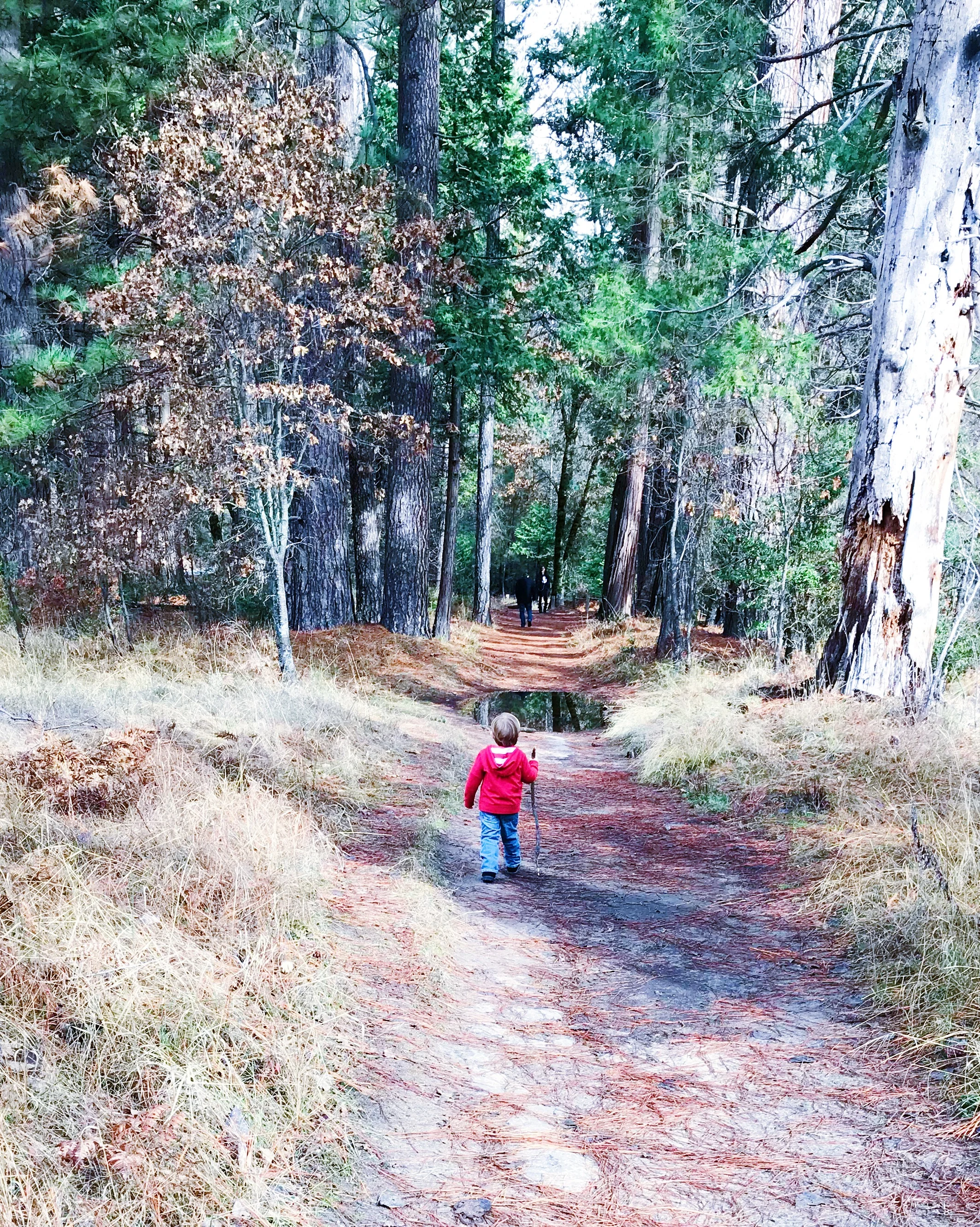 why you should know your weakness.jpg