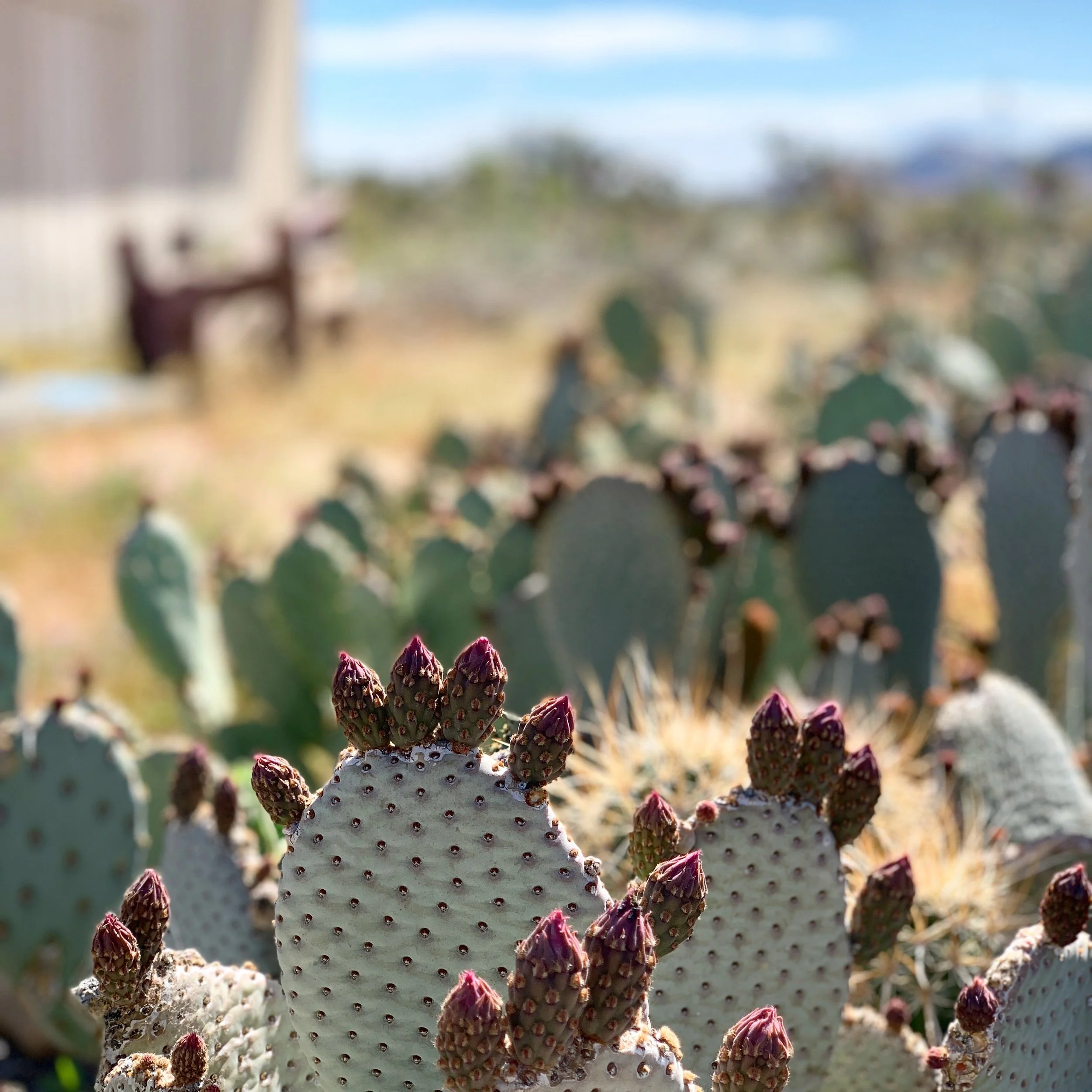 Practicing self care becomes dangerous when we allow it to make us self absorbed. We need safety for self care. Let’s help others find that too.