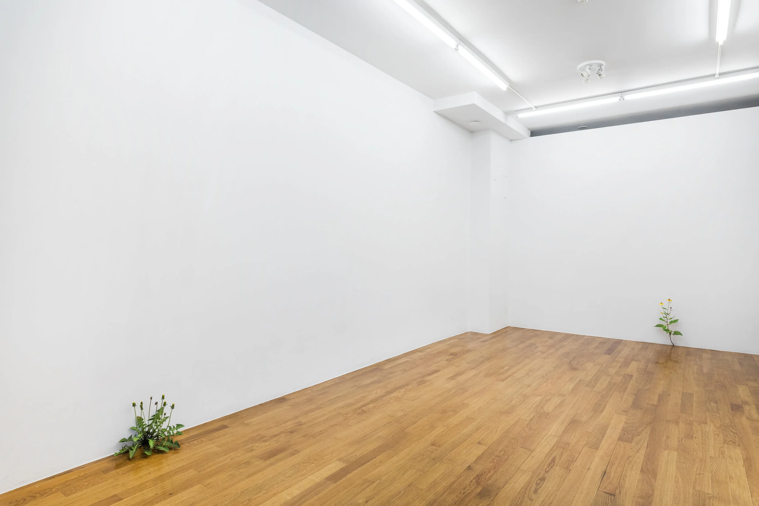 RealEstate_Sept2018_02.jpg