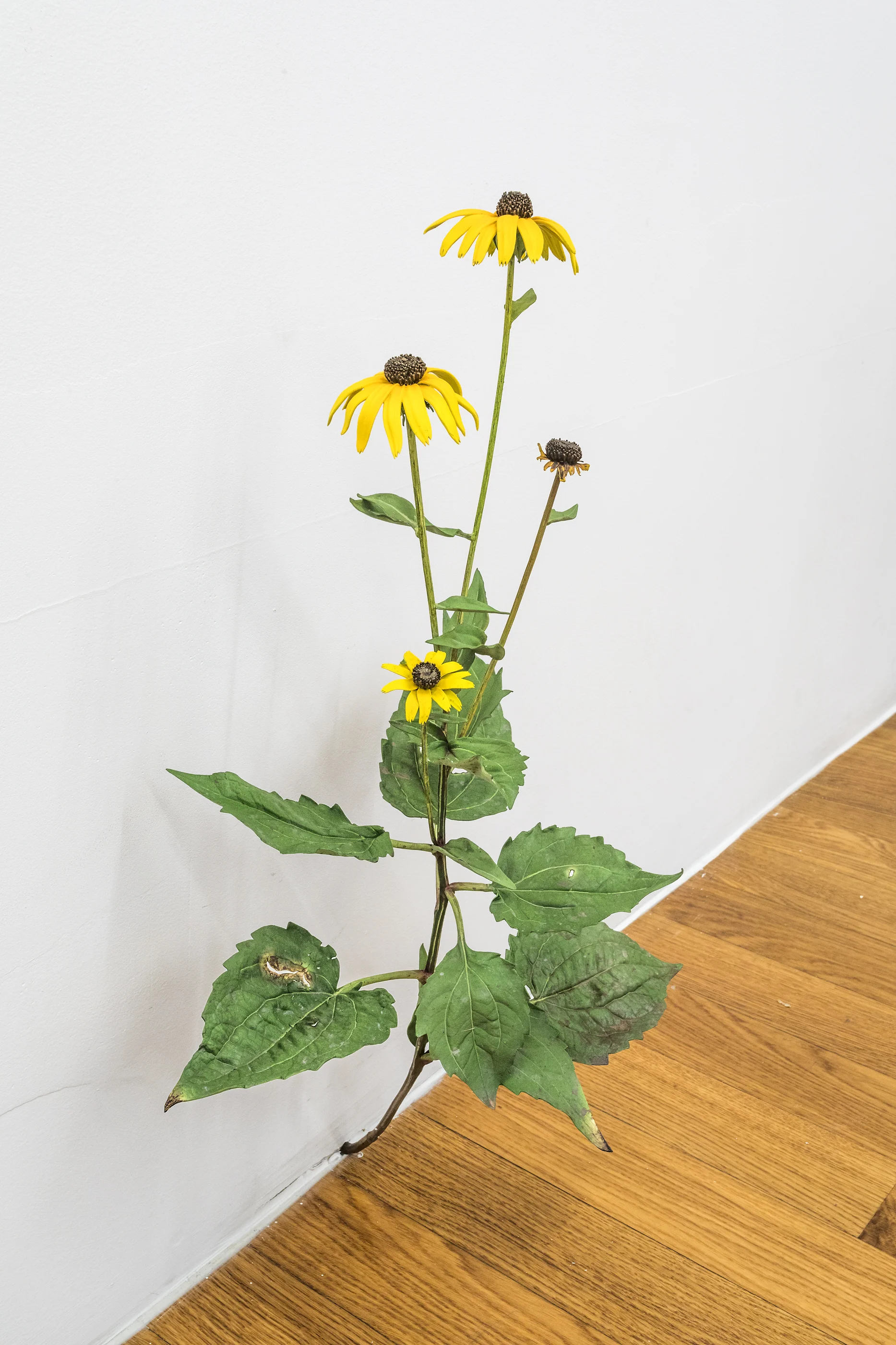 Tony Matelli Weed #431 2018 Painted bronze 23 1/4 x 13 x 9 inches