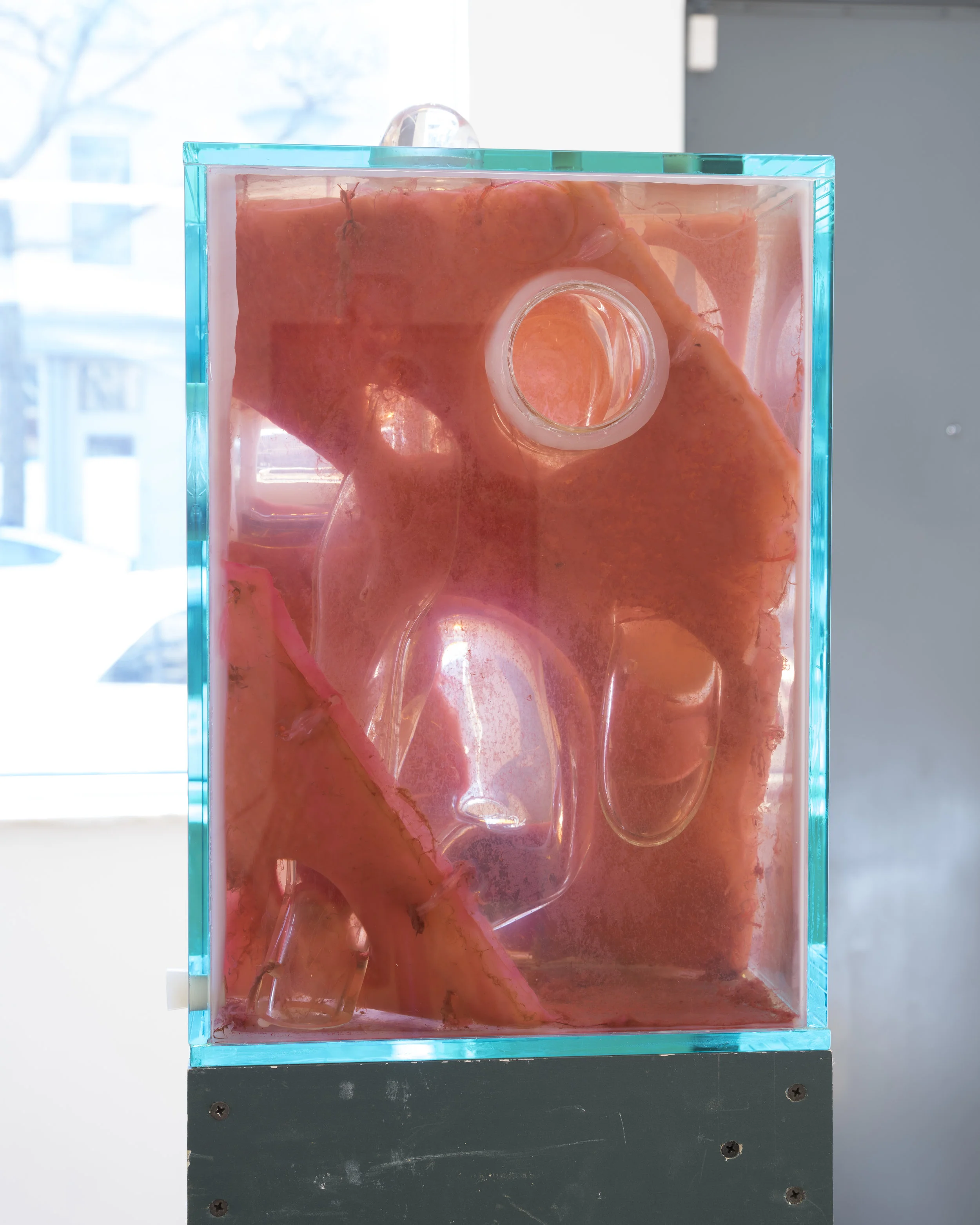 Jennifer Sirey Umlaa 2019 Glass, bacteria, vinegar, water, monofilament, and wood construction scraps 61 1/2 x 11 1/4 x 11 1/4 inches