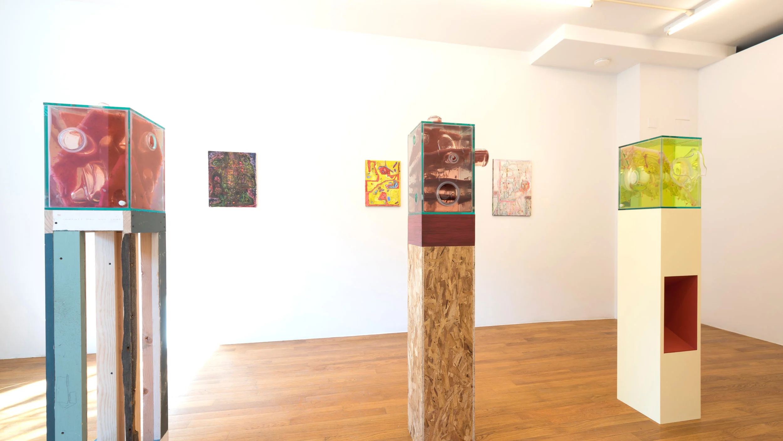 SDIB-JSIR-2019-Install-02-RomanDean-high.jpg