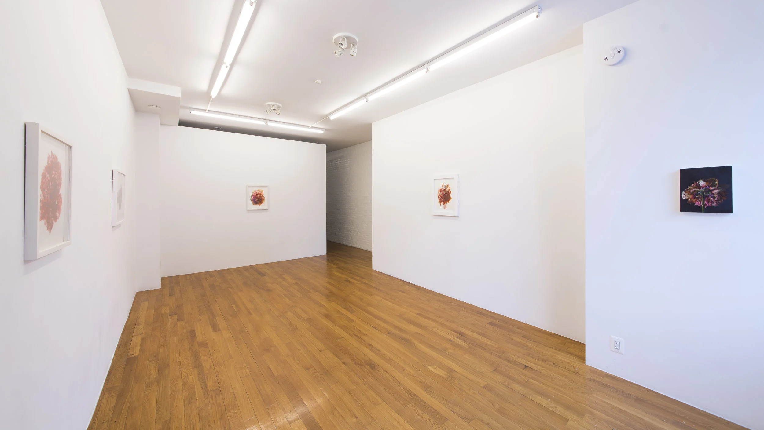 001-2019-04-25 Box Street Properties.jpg