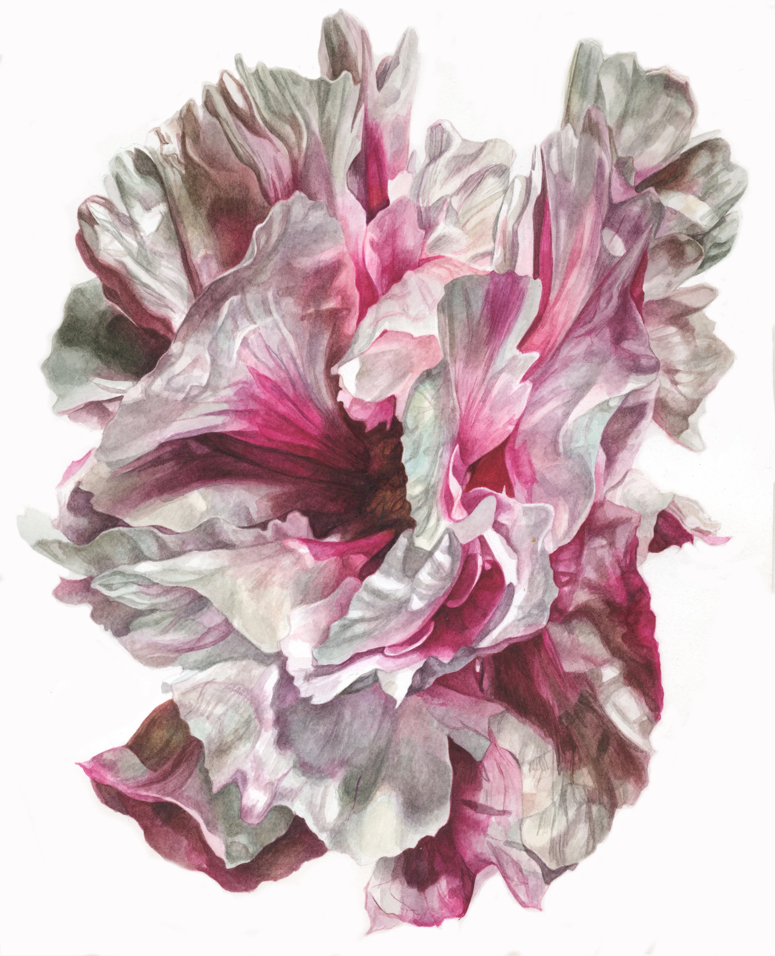 William Suran No. 14 2015 Watercolor on paper 12 x 9 inches